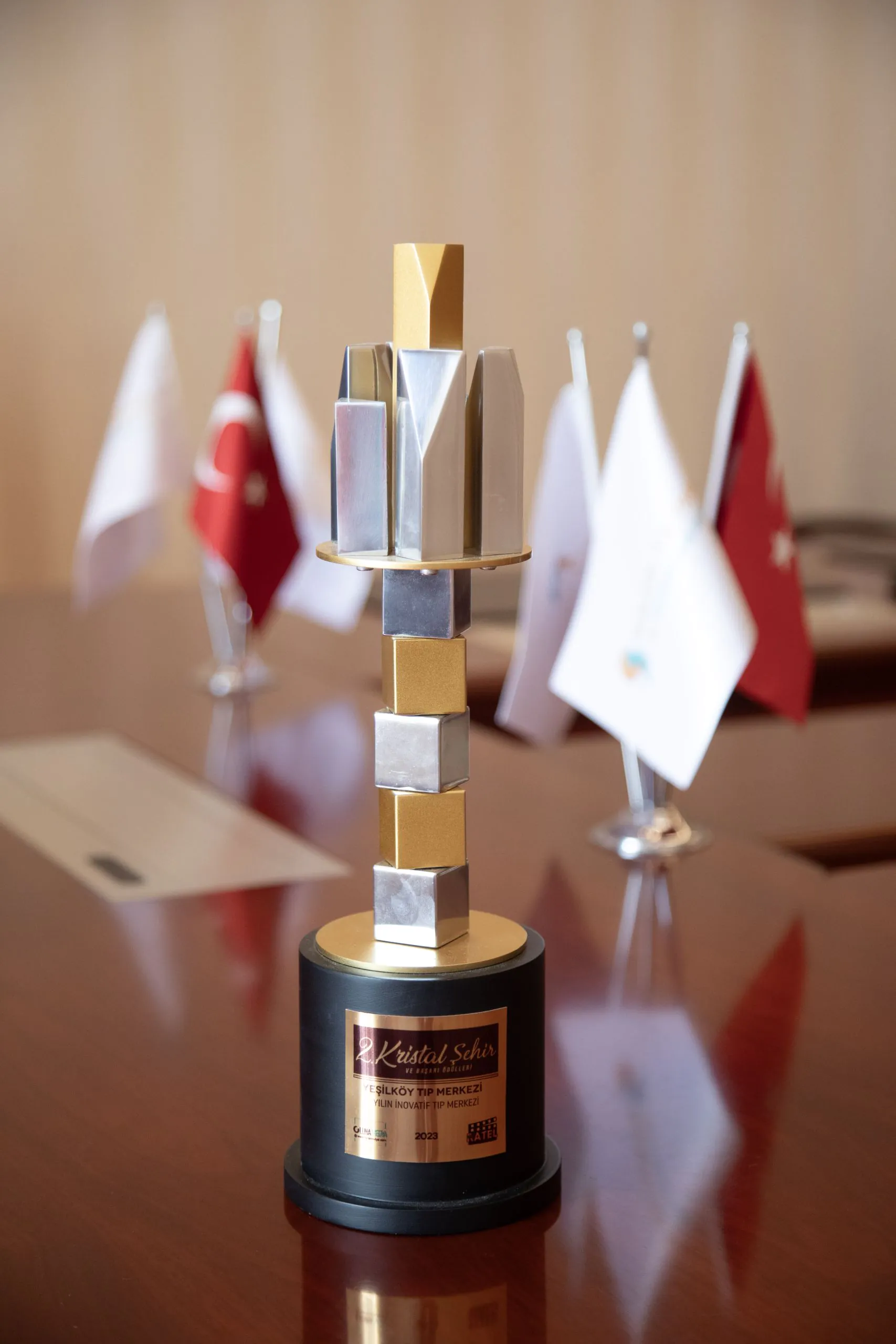 Healthcare Excellence Award